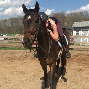 Meet your Posher, Bailey